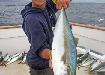 Record opioid, fentanyl deaths reported in San Diego