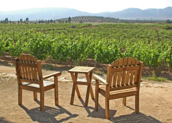 Mobile barber shop goes with the flow for beach cuts
