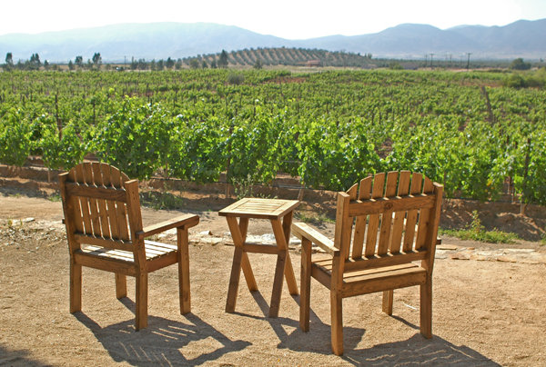 The Wine Pub to hold overnight excursion to Valle de Guadalupe