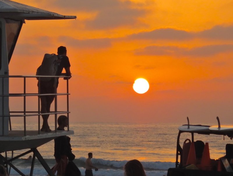 La Jolla news and community briefs