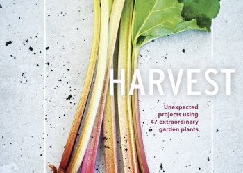 San Diego fire chief counters lifeguards' claims about emergency calls