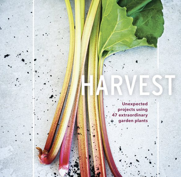 Spring has sprung with "Harvest" at Warwick’s