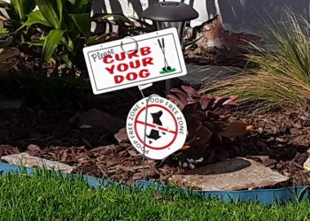 Enhance La Jolla picks up over 600 pounds of trash from the Village