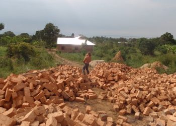 High schoolers continue tradition of growing, releasing school of fish at Crown Point