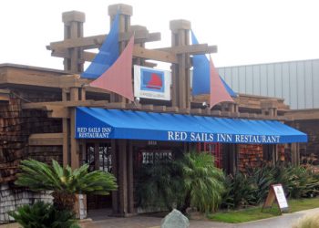 To tree or not to tree – that is the question