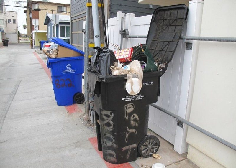 SUMMER FLY NUISANCE IS ALL THE BUZZ: City, residents launching education campaign, plan extra trash pickups