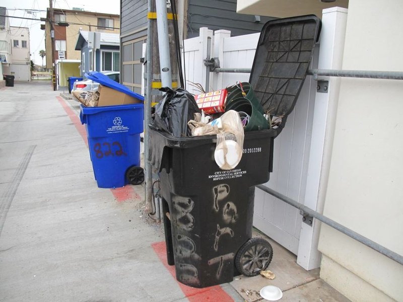 SUMMER FLY NUISANCE IS ALL THE BUZZ: City, residents launching education campaign, plan extra trash pickups