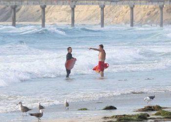 Found-object artist finding success