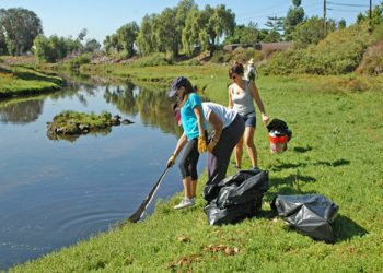 LJ Parks and Beaches discuss fall events, Children’s Pool history at August meeting