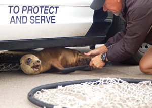 Event calendar: May 6-13, 2010