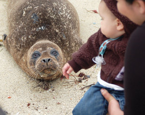 MBHS aquatics make a yearlong splash