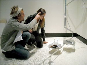 Apples learn to appreciate the oranges