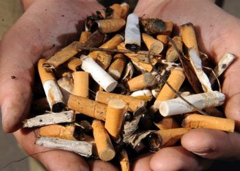 San Diego Beer and Music Festival on Oct. 24