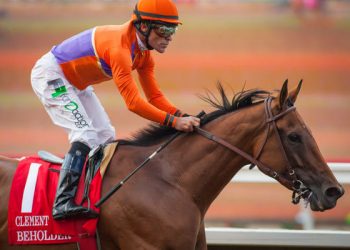 Woman, 92, charged in Chamber official's auto death