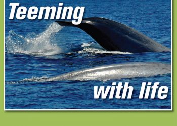 Letter to the editor