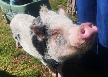 Unity Game gives special needs students time to shine