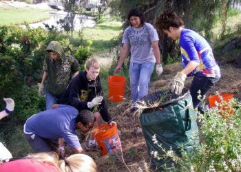 Sleepwalkers to play Cinco de Mayo at Tio Leo’s
