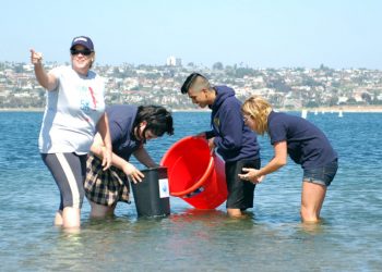 School news and notes for Mission Bay Cluster