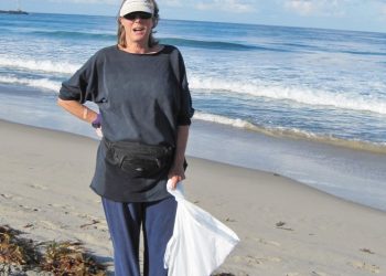 SeaWorld celebrates birth of its fifth dolphin locally