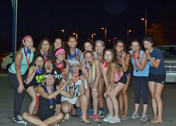 Sea lion strandings surpass 2,000 on California beaches