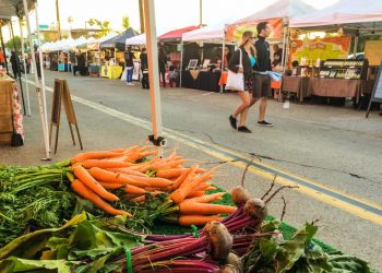 Thousands protest refugee ban at San Diego Airport