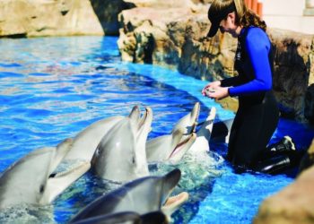 Live Music: A music thing, soul, big band and more