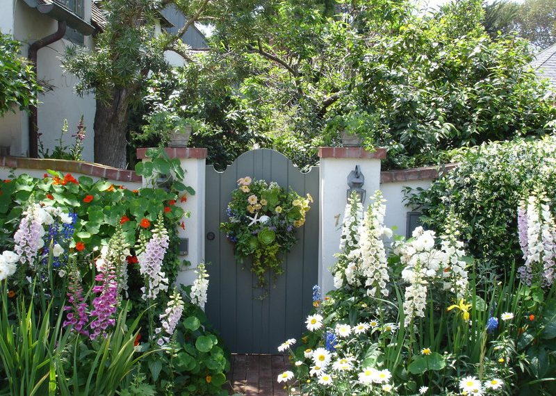 From my garden: Getting your garden ready for spring