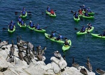 Faulconer backs city move to 'drought alert' status