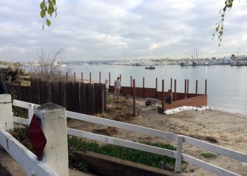 Cookies on Tap in Ocean Beach and Point Loma