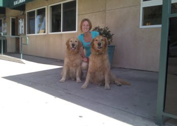 PB planners recommend conditional-use permits for new alcohol licenses