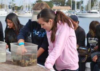 Tips for taking your dog to work