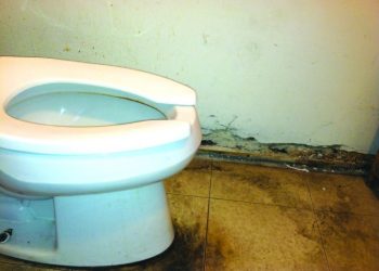 ON THE WATERFRONT: When the fish are biting, they’re making for some big hauls