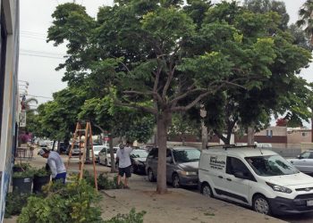 Guest Editorial: Police work needs more transparency