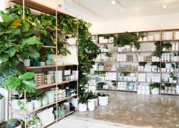 Sunset stairs repairs – Ladera Street project causes controversy