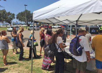 Needs, strengths and commitments