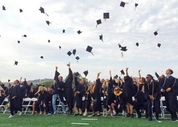 Little League post-season all-star tournaments under way