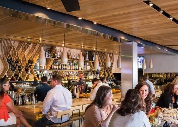 Birch Aquarium gives guests a face-to-face introduction to ‘the friendlies’