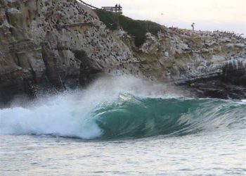 LJCPA to vote on neighborhood priorities Nov. 1