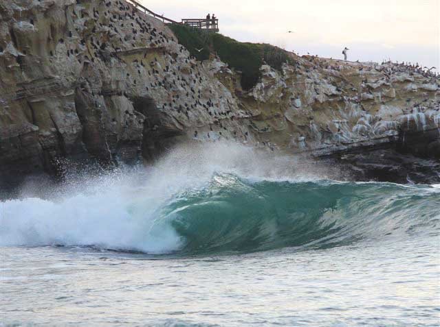 Community leaders address Cove’s fowl stench