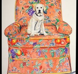 Arts & Entertainment briefs