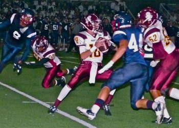 Protecting OB’s community character, preserving public interest and integrity