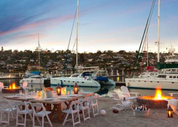 California Open Wildlife Art Festival at Liberty Station