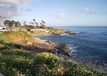 How to become motivated to work out in the mornings