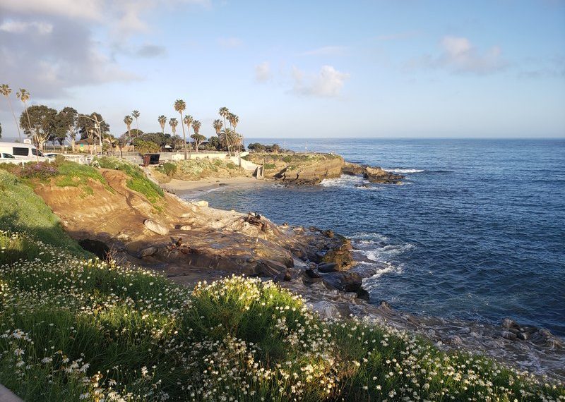 Lawsuit filed against city after La Jolla Cove death