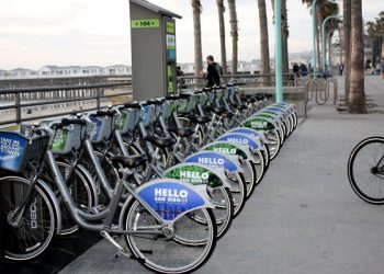 Campers tidy up Kendall-Frost Marsh Reserve