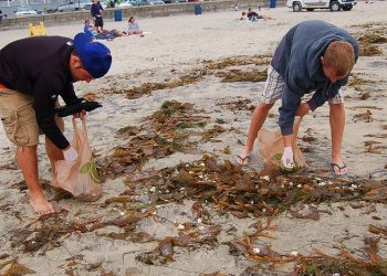 Police outreach program plays key role in solution