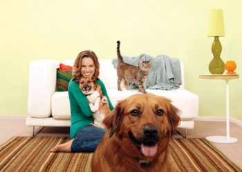 School budget deficit looms: Public invited to Dec. 9 district budget meeting