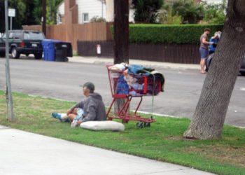 Needs, strengths and commitments