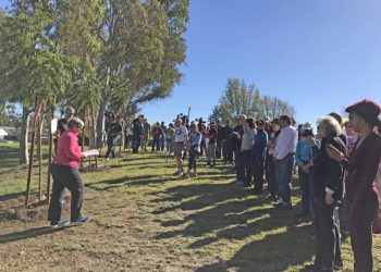 Community news and briefs for Pacific Beach and Mission Beach