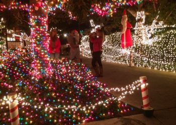 Paw It Forward: donate coats, sweaters for pets of the homeless